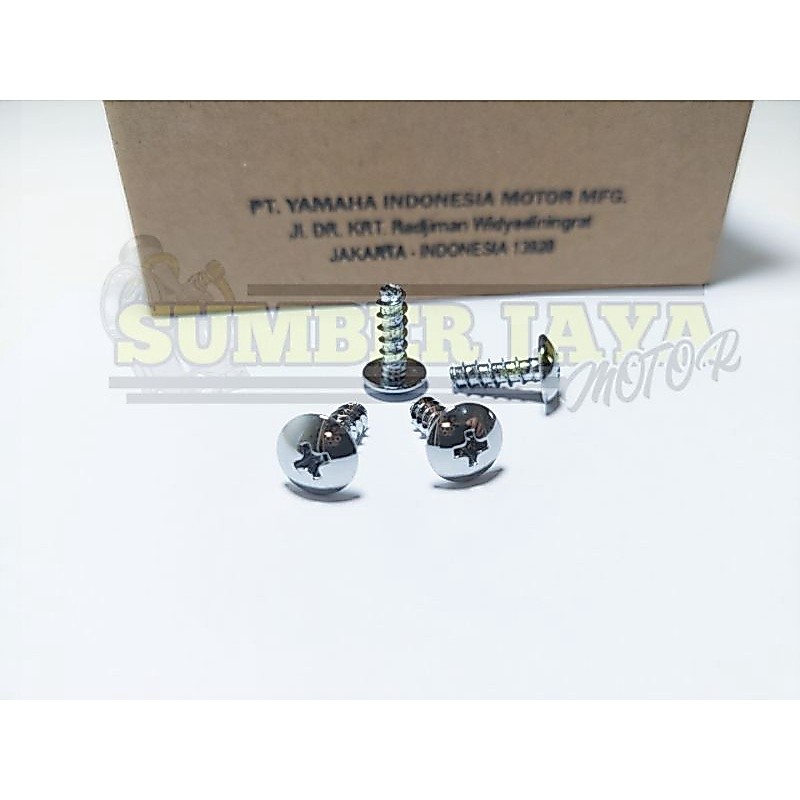 BAUT VISOR FIZR CROOM SEPAKET 4PCS