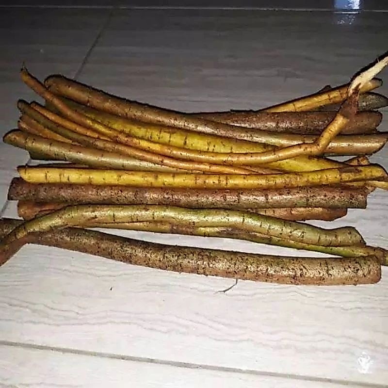 Promo akar tuba segar akar kawao