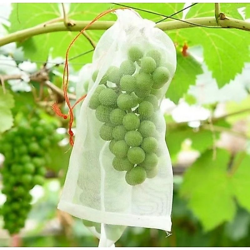 Net Jaring Pembungkus Buah Fruit Cover Jaring Kelengkeng