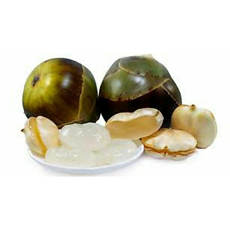 Buah Lontar Siwalan Kupas Fresh