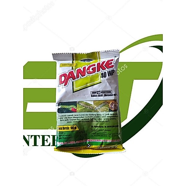 Dangke 100 Gr