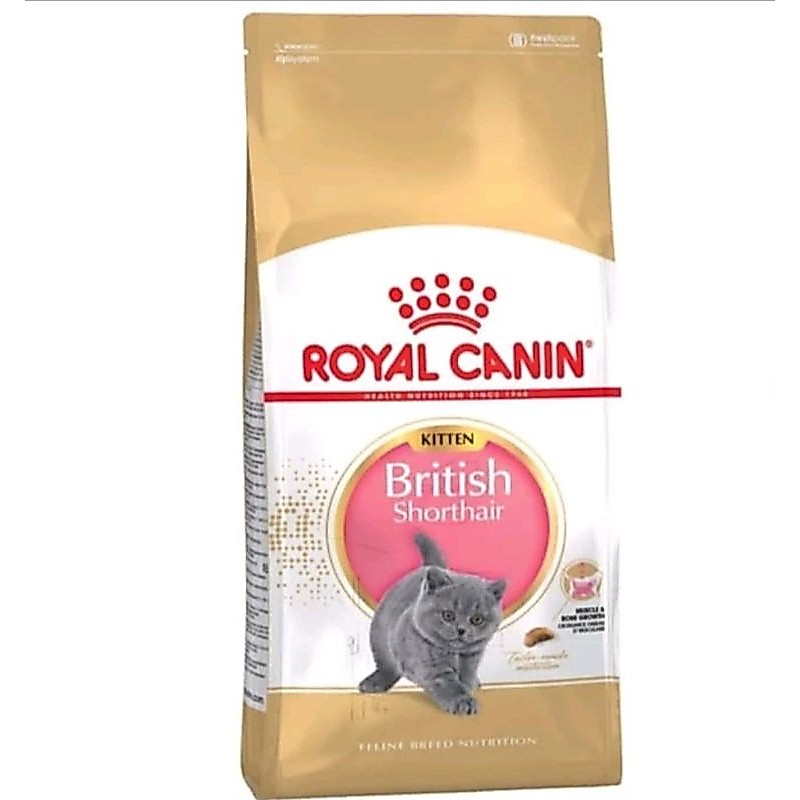 Makanan Kucing Kering Anak Kucing Ras British Shorthair 2kg