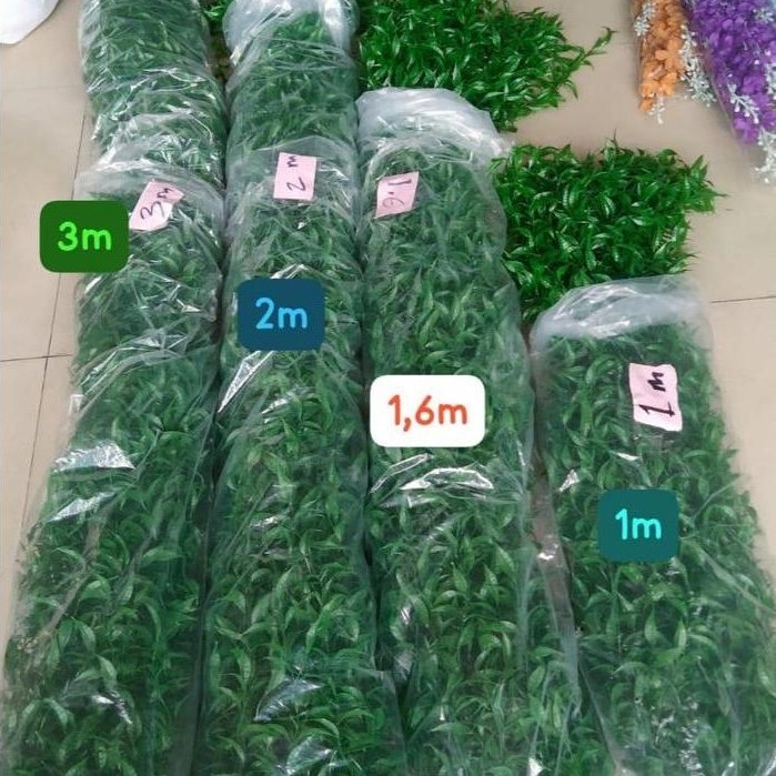 Ada Stok Lee kwan you Baru Tanaman Daun Hias Juntai Plastik Lee Kwan Yew Panjang 1-3 Meter Warna