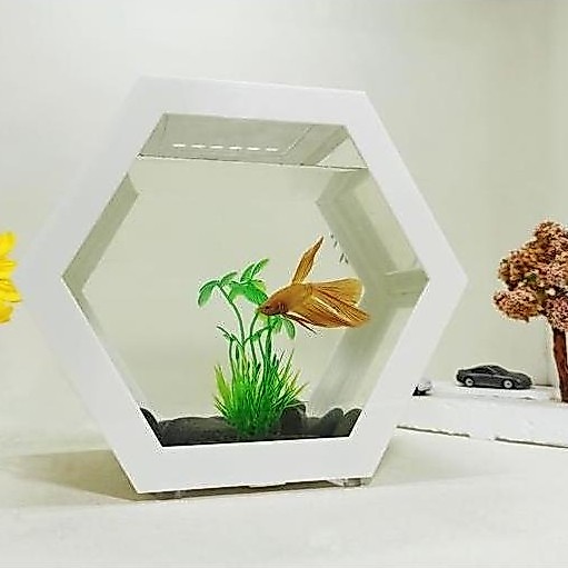 aquarium segilima, aquarium dinding, aquarium unik, aquarium gantung