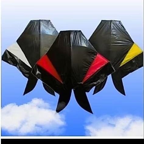 (GROSIR) LAYANGAN COTEK BLOLONG 50 PCS LAYANGAN COTEK COTEK AN/COTEK BLOLONG BALI/COTEK BLOLONG