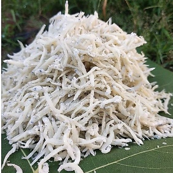 TERI NASI MEDAN, TERI MEDAN / TERI NASI PUTIH KERING