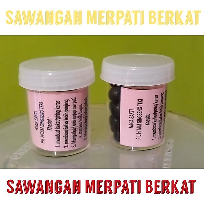 gingseng teki obat giring jamu keket stamina vitamin merpati