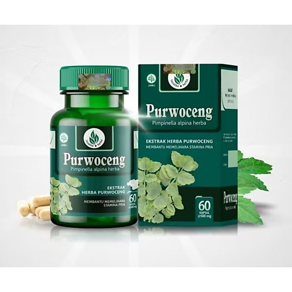 Kemasan Baru  Kapsul Purwoceng ( Pimpinella alpina herba ) TAZAKKA