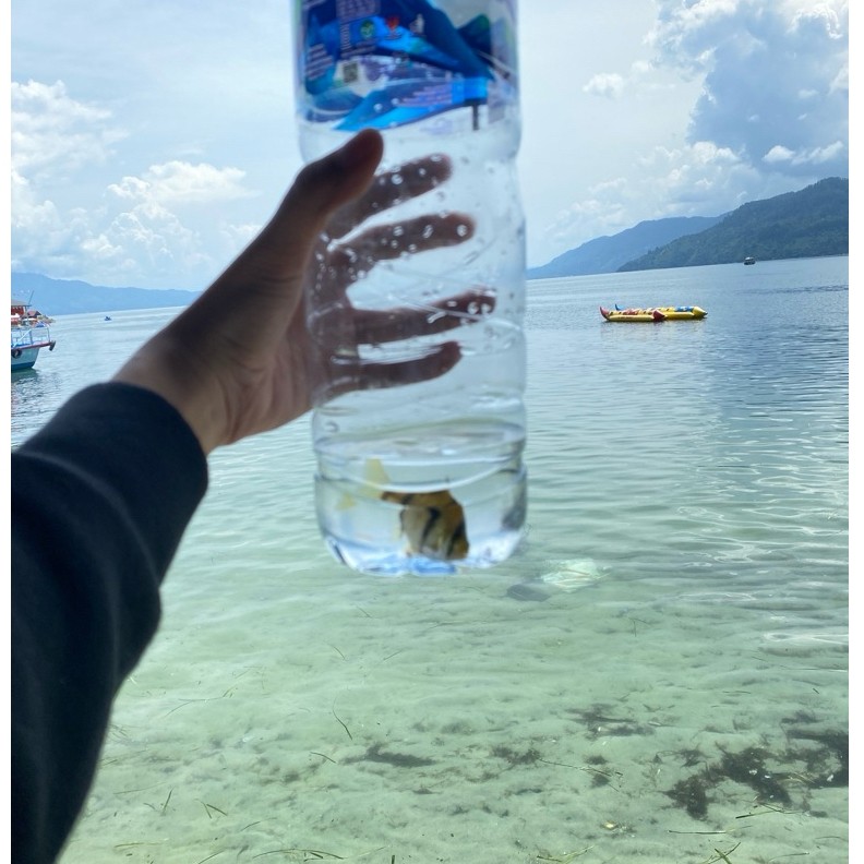 ikan langka