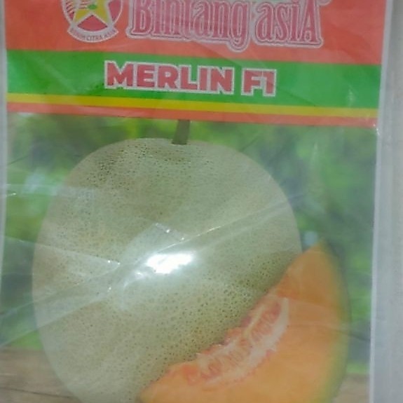 Benih Melon Merlin F1 20 gr