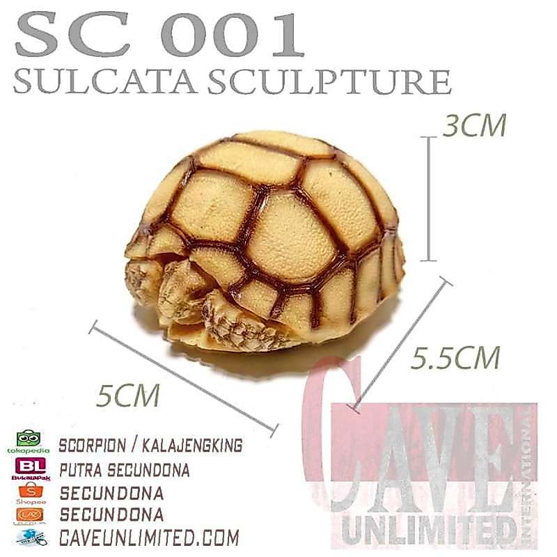 Replika patung tortoise Indian Star Instar istar kura kura darat torto