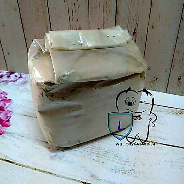 PUMICE
