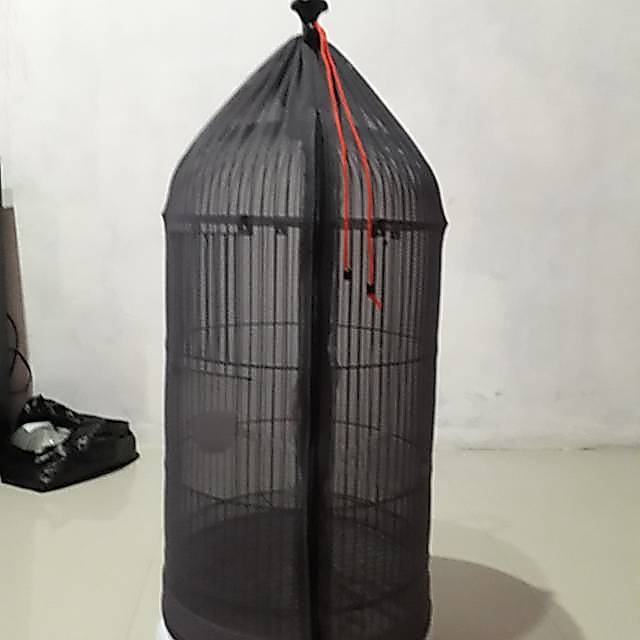 krodong sangkar krodong lovebird kerodong burung transparan krodong sangkar kerodong