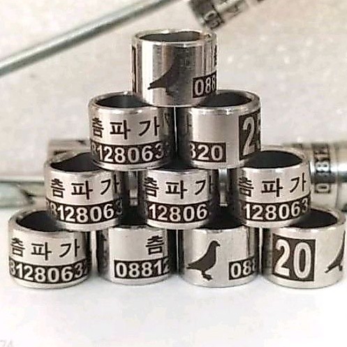 RING BURUNG BAJA VARIASI STANDART 19 | CUSTOM CETAK NAMA | MERPATI | PERKUTUT || LOVEBIRD | PUTER | 