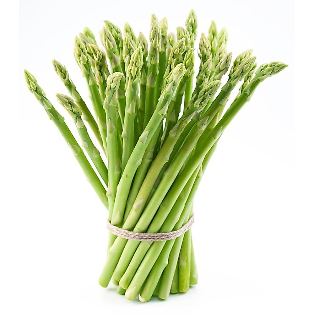 Bibit Benih Biji Sayur Asparagus - Benih Tanaman Sayur Asparagus - Bibit Pohon Sayur Asparagus - COD