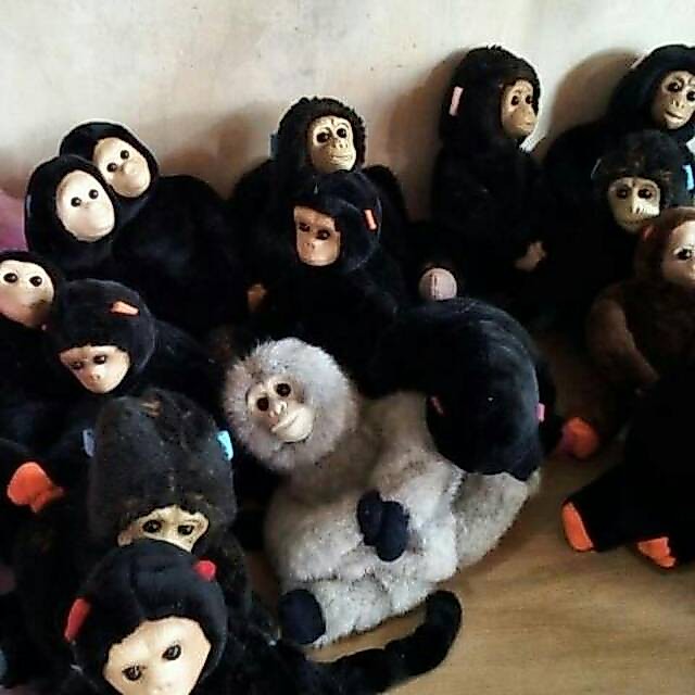 [PROMO] Boneka Monyet Muka Karet 20cm Murah - Boneka Monkey Wajah Karet Klasik Lucu - Mainan Boneka 
