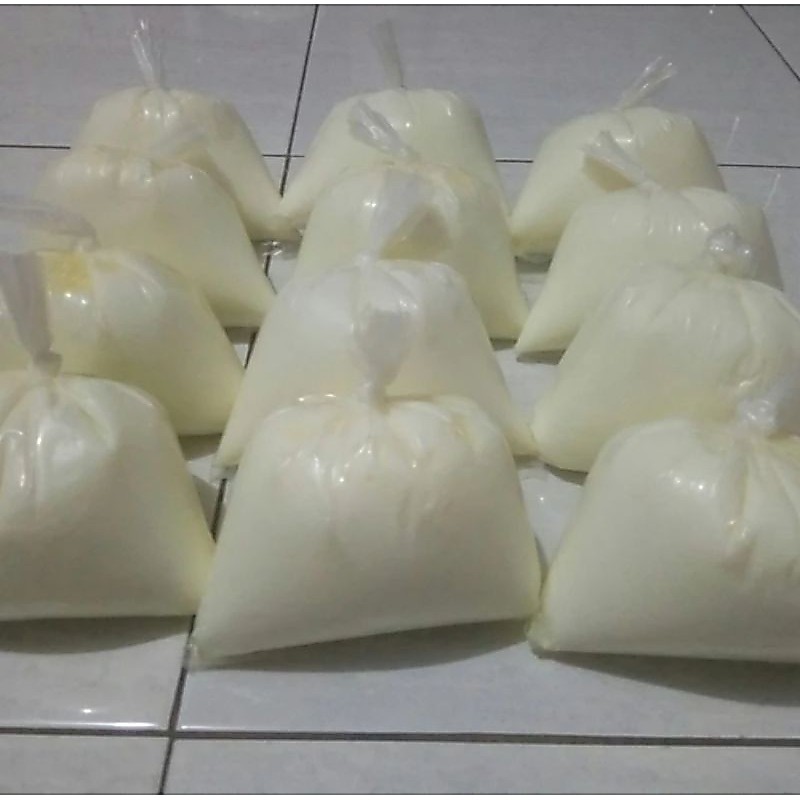 PUTIH TELUR MATANG