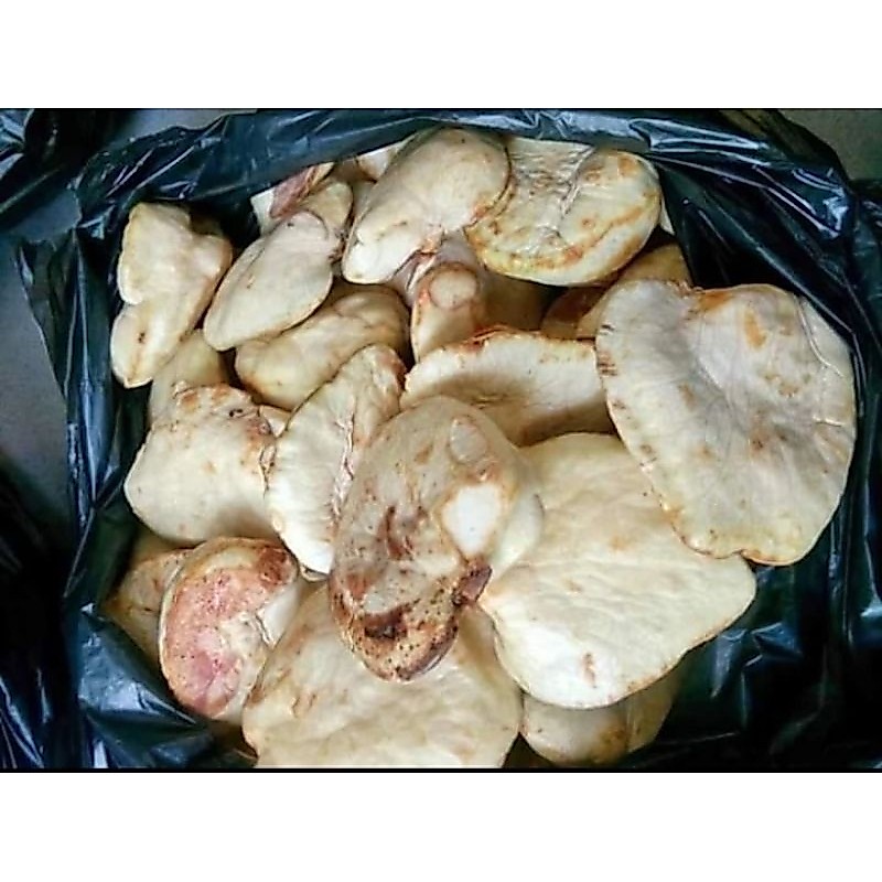 Gayam Utuh Buah Gayam