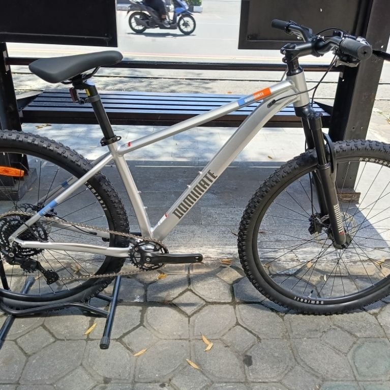 MTB Dominate 29er A-One