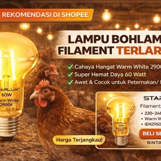 Lampu Penghangat Ayam STARLUX NR63 40W / 60W | Lampu Pijar Kandang Warm White Oke punya