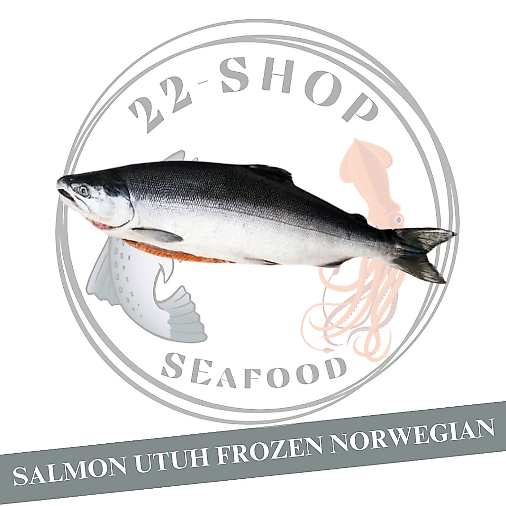 IKAN SALMON UTUH FROZEN NORWEGIAN PER EKOR