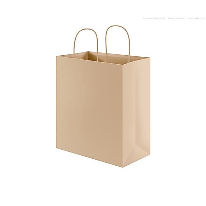 Tambahan Paper Bag Untuk Snack box