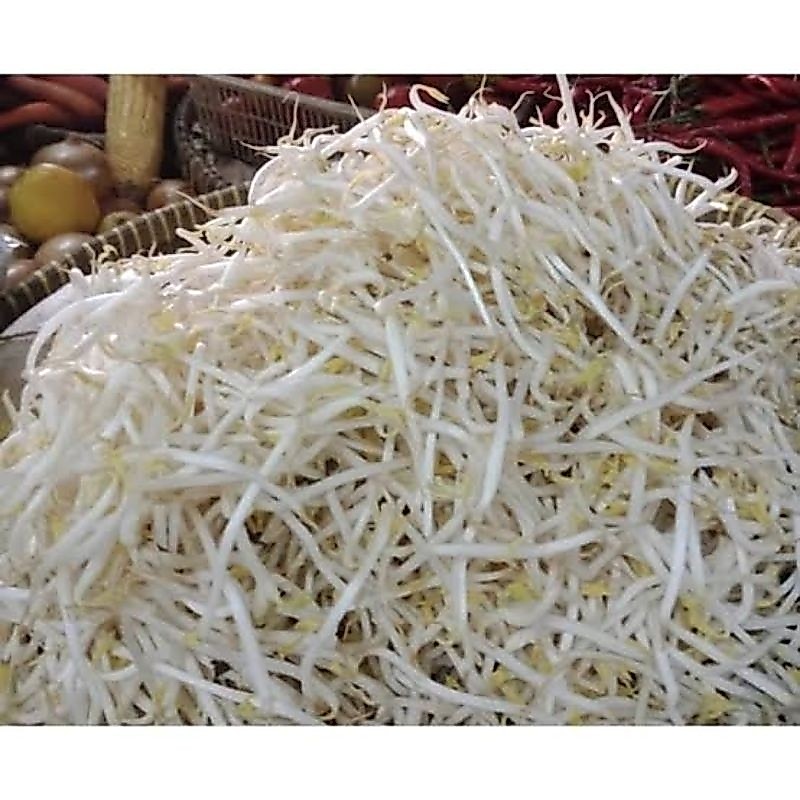 tauge bangkok/besar 1kg