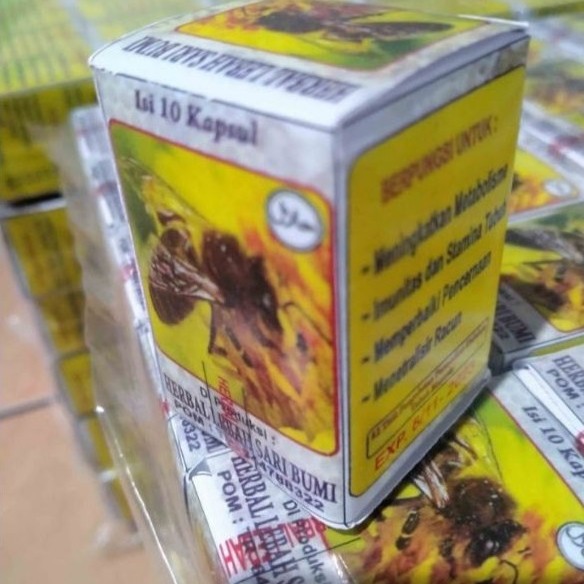 PROMO HERBAL LEBAH SARI BUMI KAPSUL MADU 100% (ASLI)