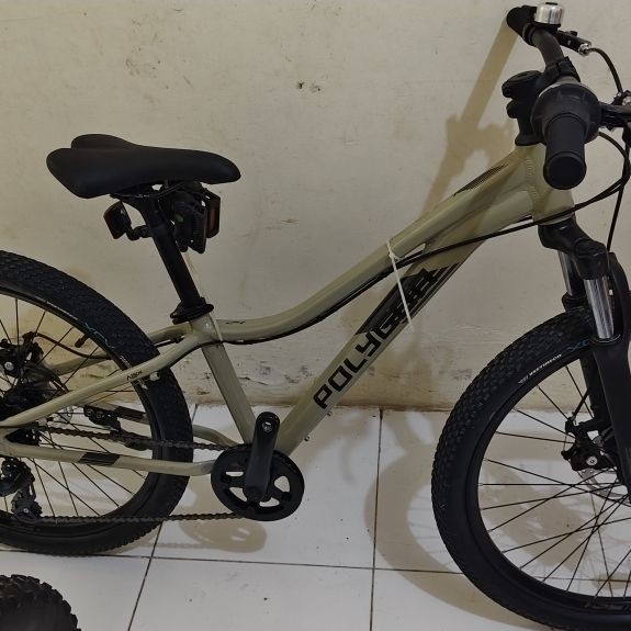 Polygon Relic 24 Baru