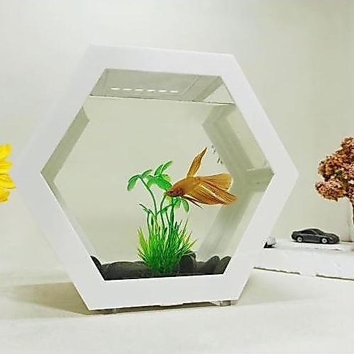 aquarium segilima, aquarium dinding, aquarium unik, aquarium gantung