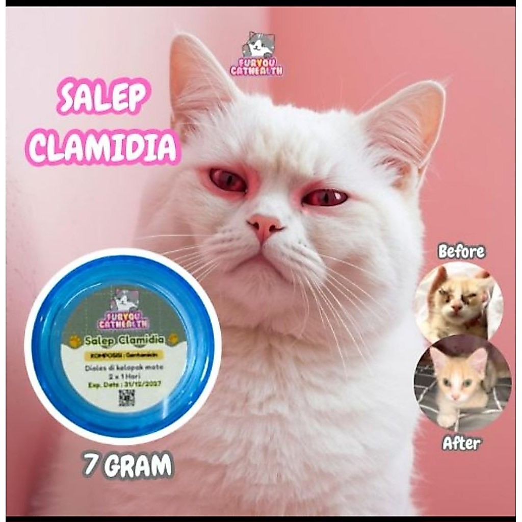 Furyou Salep Clamidia acyclovir clindamycin Oxytetracycline erelamicetin genoint salep mata kucing