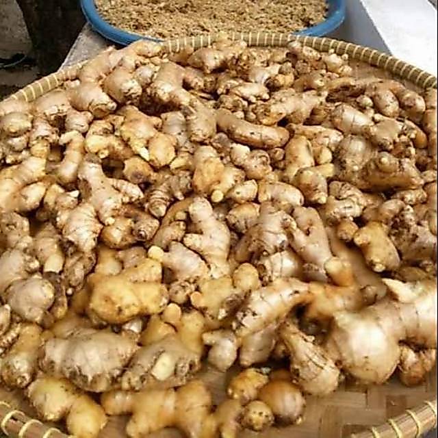 Jahe Emprit 1 Kg