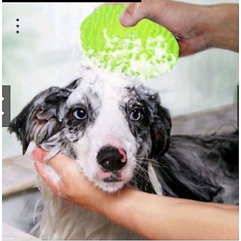 Sisir mandi kucing anjing - sisir grooming - sisir kucing - sisir bulu kucing