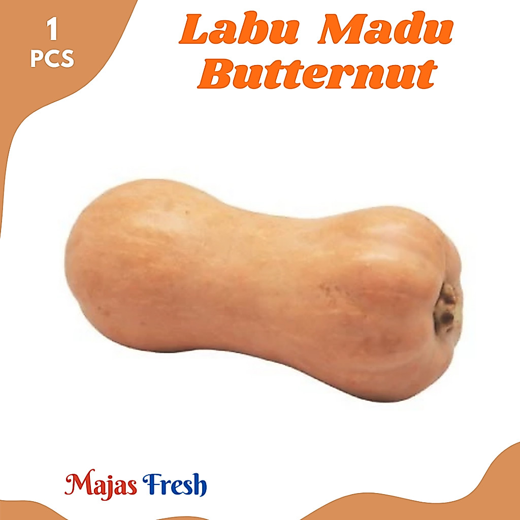 LABU MADU Segar - Sayur Labu Butternut Pumpkin Fresh | Size 0,5-0,8Kg [ Harga Per PCS ]