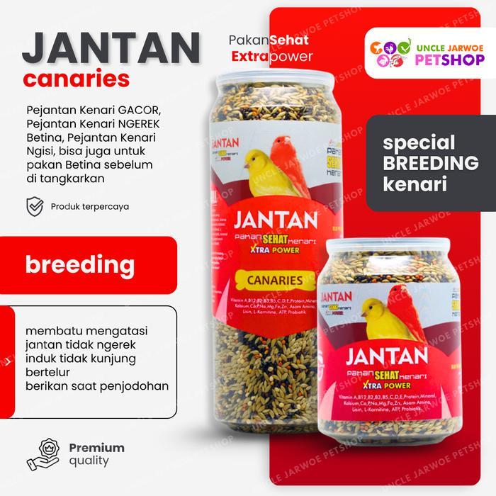 Promo Best JANTAN Pakan Sehat Kenari Gacor Ngerek Ngisi Breeding - JANTAN KECIL