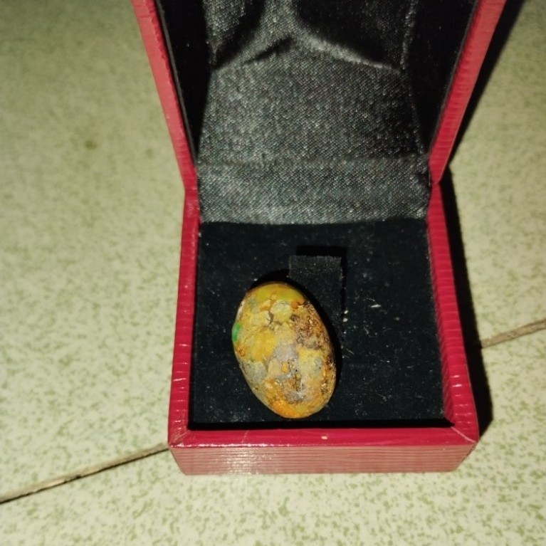 pirus persia ijo dondong