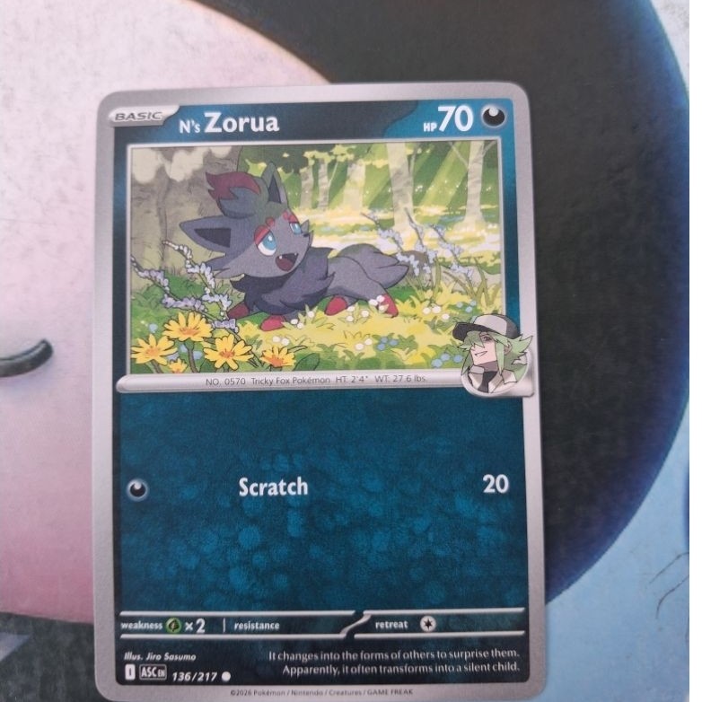 TCG Card Pokemon Zorua (English)