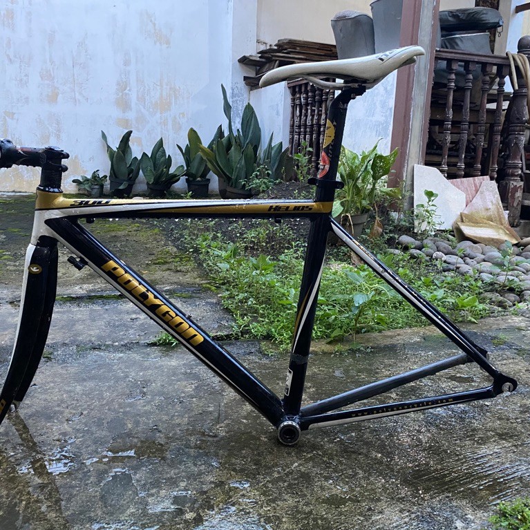 frameset polygon helios 300