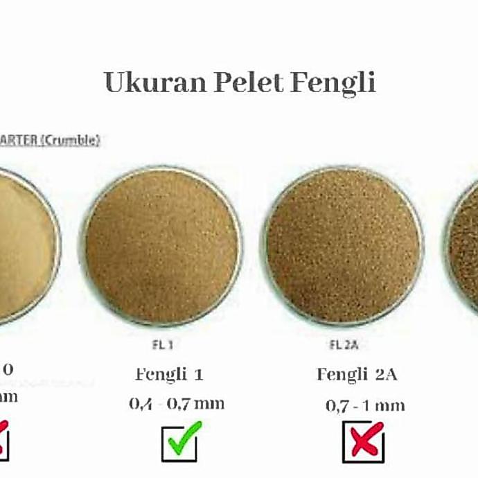 FENGLI 1 kemasan 1kg