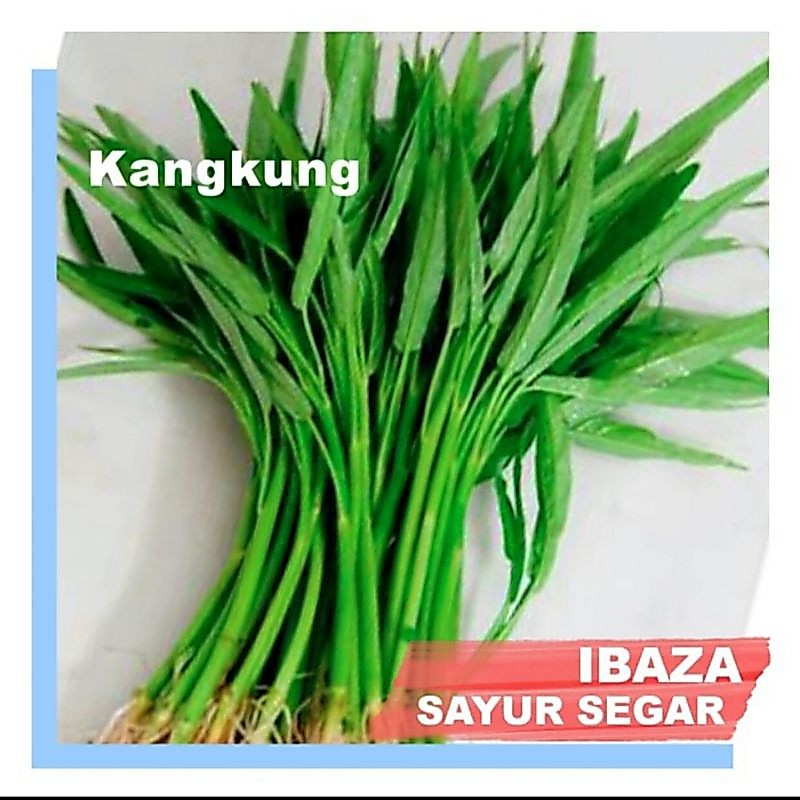 Sayur Kangkung Sayuran Segar Ibaza fruitsBOX