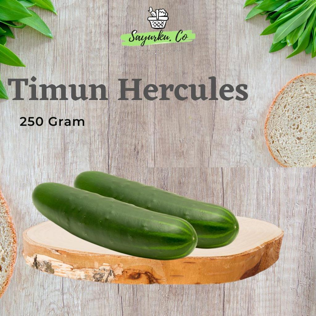 Timun Segar, Timun Lokal,Timun Hercules 250gr