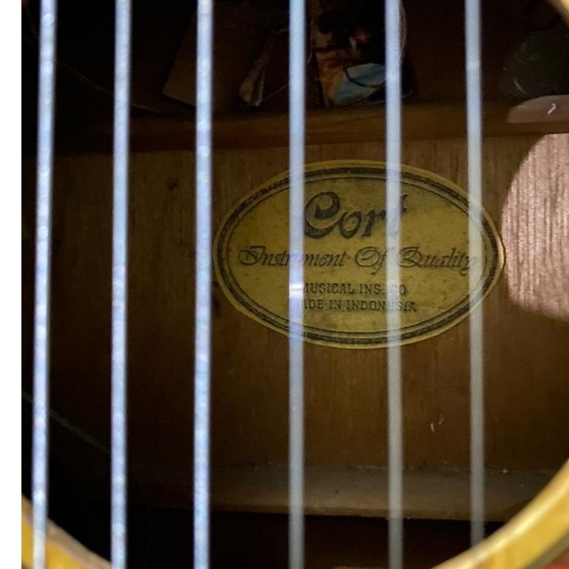 Gitar Cort Akustik Elektrik Custom