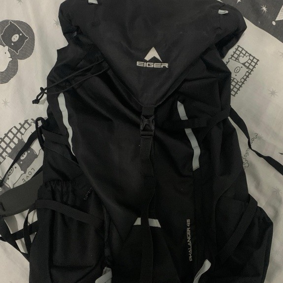 Eiger Phalanger 45L