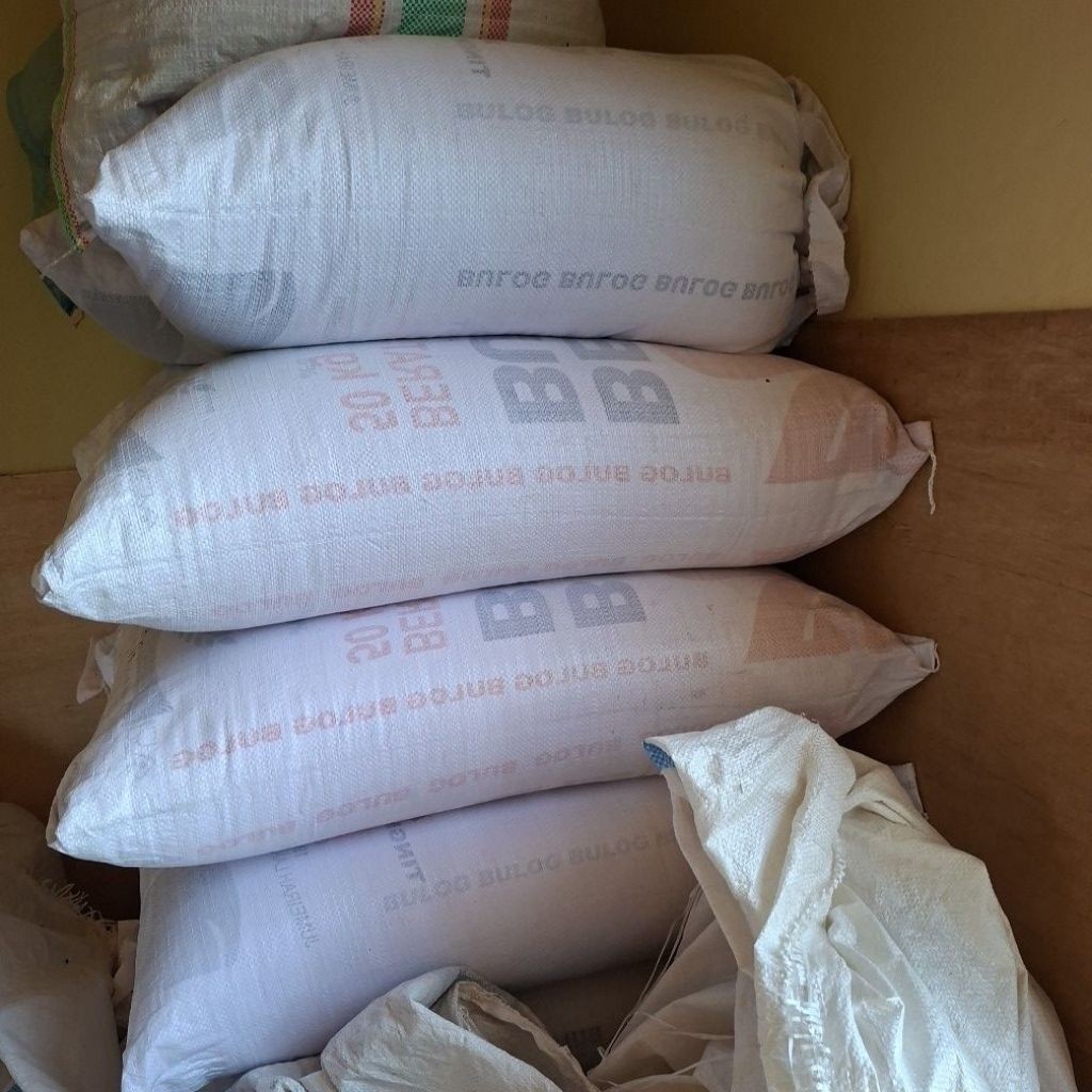 TerbaruBENIH CP (CENTROSEMA PUBESCENS) 1KG - KACANGAN CP - PENUTUP TANAH COVER CROOPPROMO