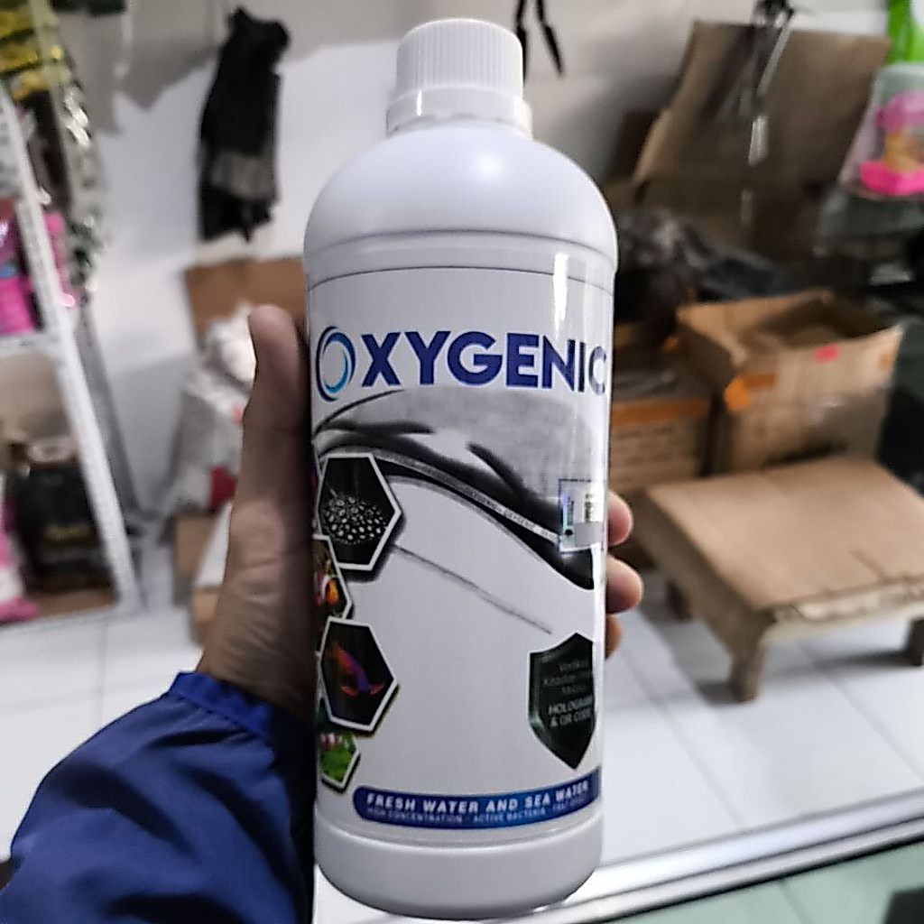 Probiotik Oxygenic / bakteri aktif / bakteri starter
