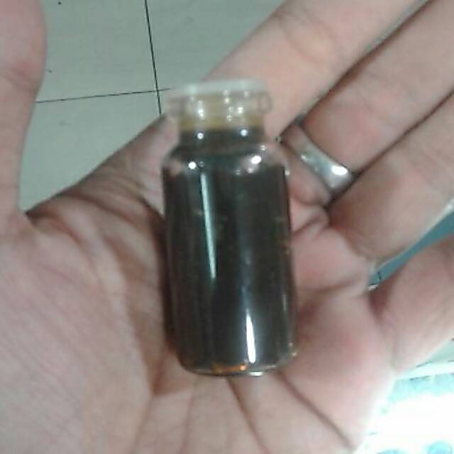 Minyak bumi asli