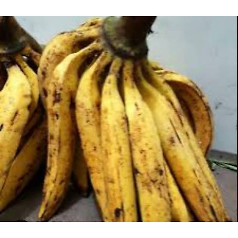 pisang tanduk 1kg