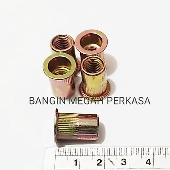 Mur Rivet M8 / Rivet Nut M8