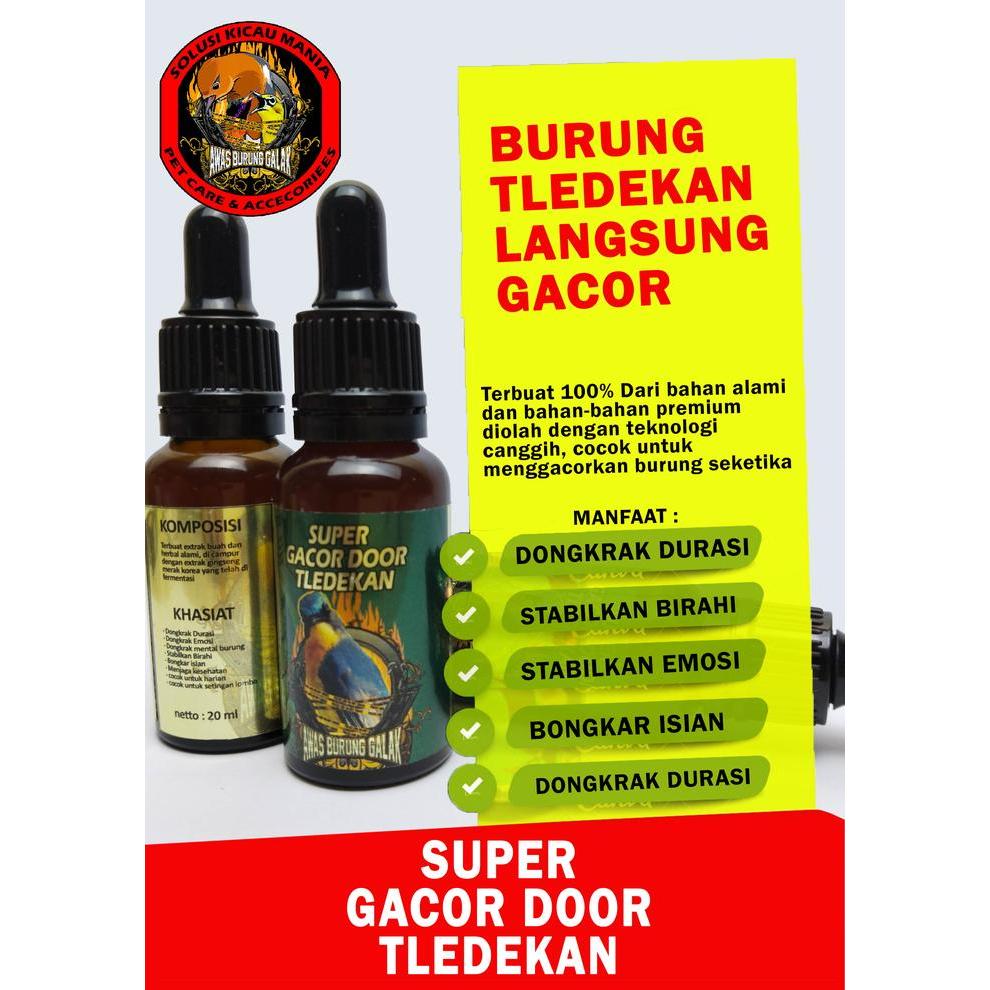 NEW SUPER GACOR DOOR TLEDEKAN PENGGACPR SEKETIKA PREMIUM