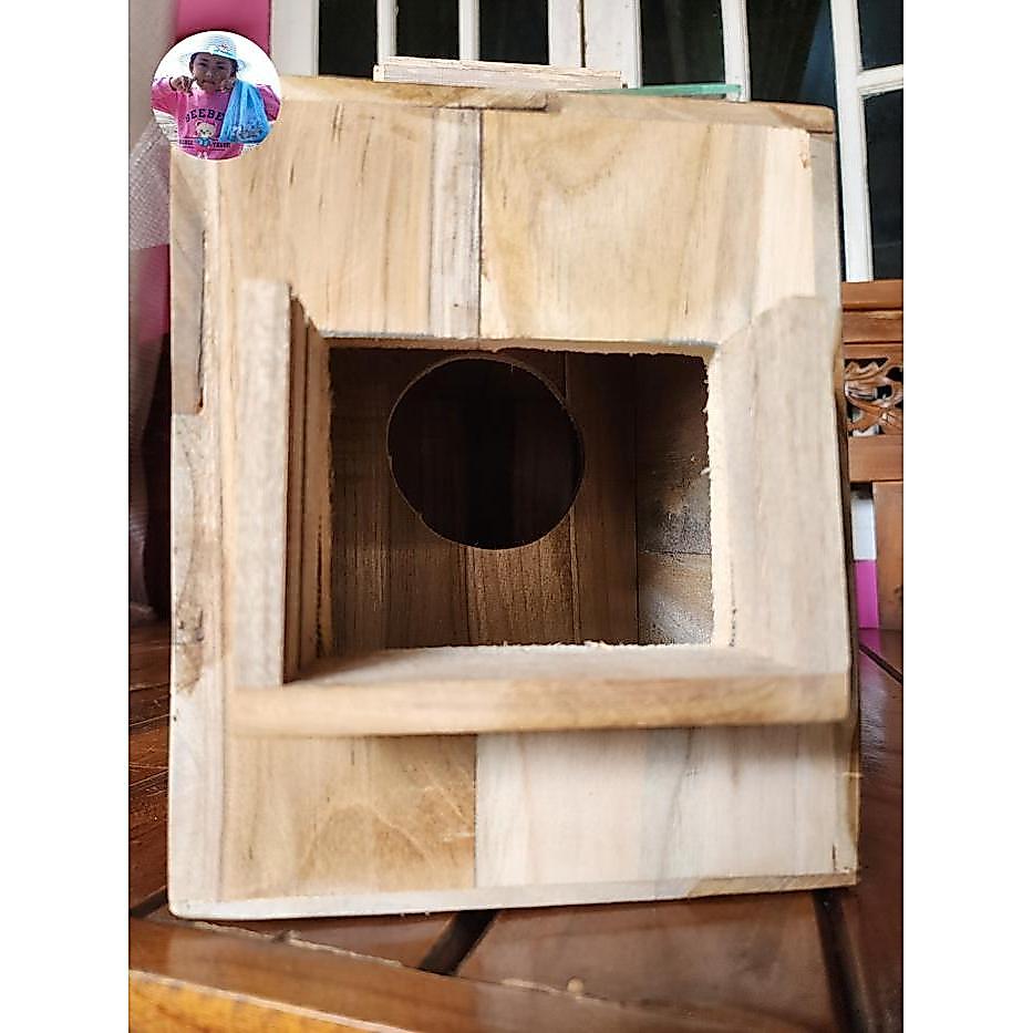 Ready Glodok Jalak Bali Jalak Putih Penempatan Kiri Berkualitas